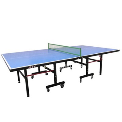 Indoor Ping Pong Table